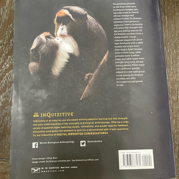 Essentials of Biological Anthropology fourth edition by Clark Spencer book - Picture 2 of 4